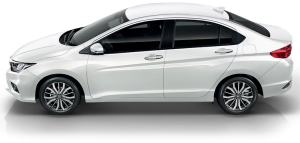 White-Orchid-Pearl-3-300x143