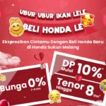 Ubur Ubur Ikan Lele, Beli Honda Lee! Promo Beli Mobil Honda Spesial Valentine DP 0%!